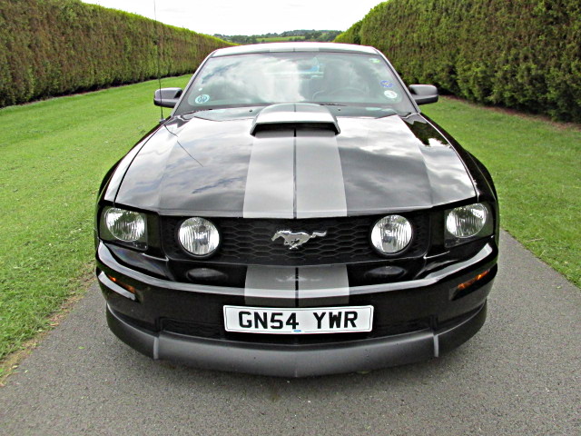 Mustang GT350 Front Squat
