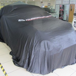 All ready for the big unveil